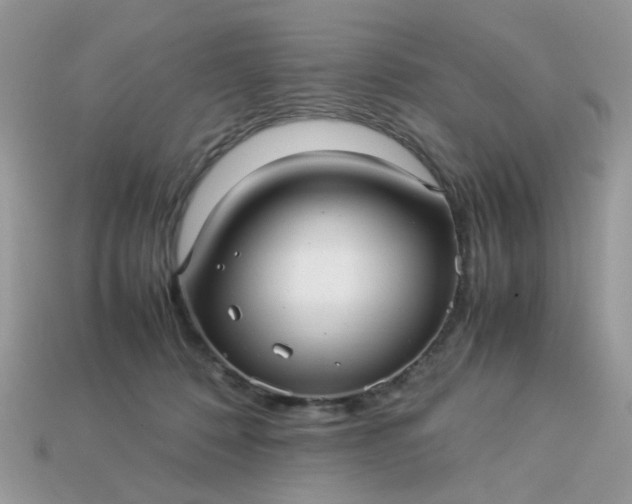 X0000113040320200909101923