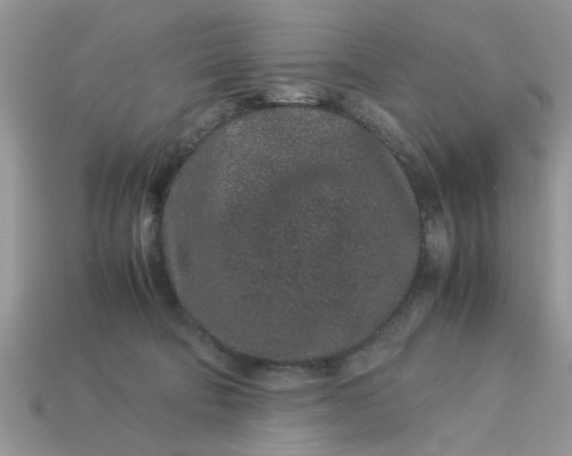 X0000113040322200909101923