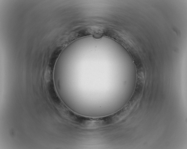 X0000113040323200909101923