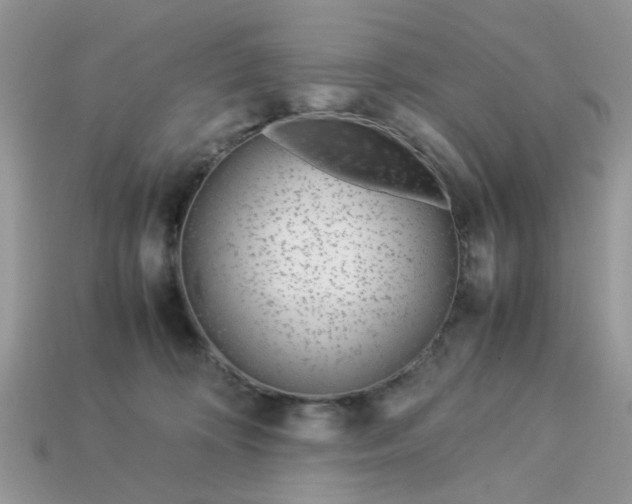 X0000113040324200909101923