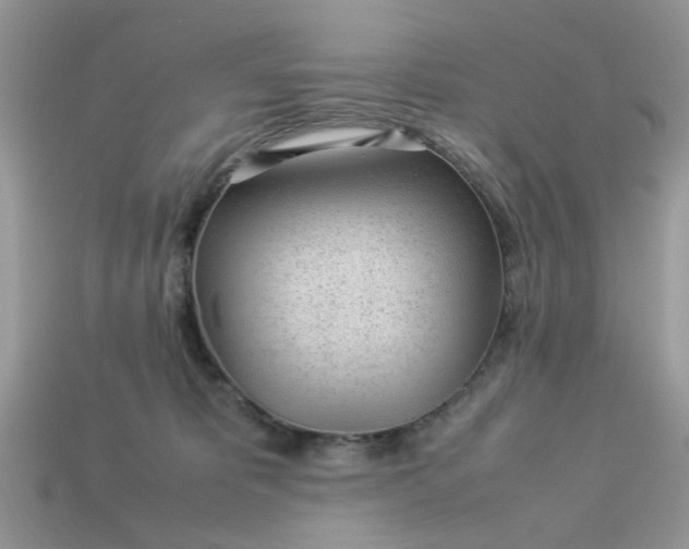 X0000113040325200909101923