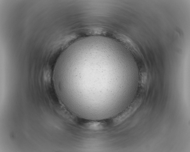 X0000113040326200909101923