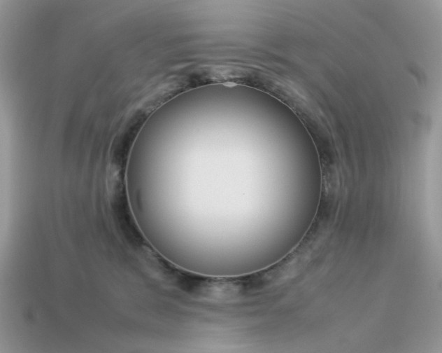 X0000113040327200909101923