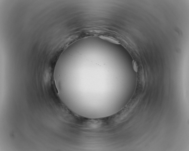 X0000113040328200909101923
