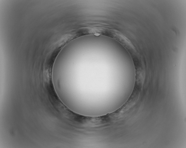 X0000113040329200909101923