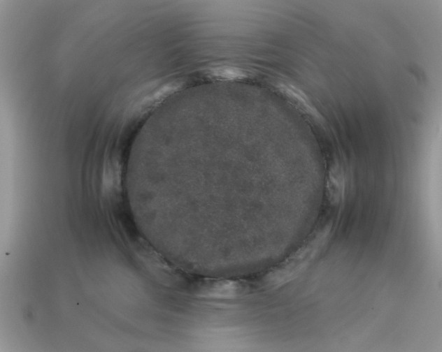 X0000113040330200909101923