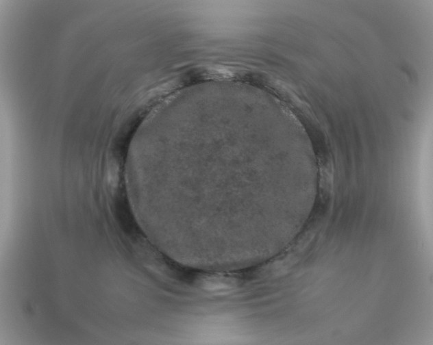 X0000113040331200909101923