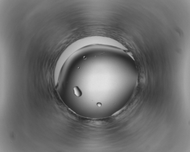 X0000113040332200909101923