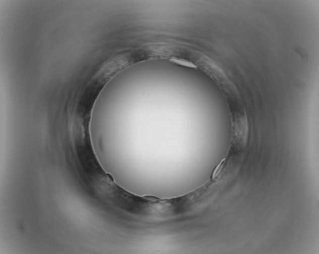 X0000113040333200909101923