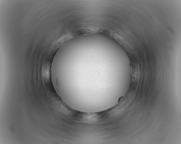 X0000113040334200909101923
