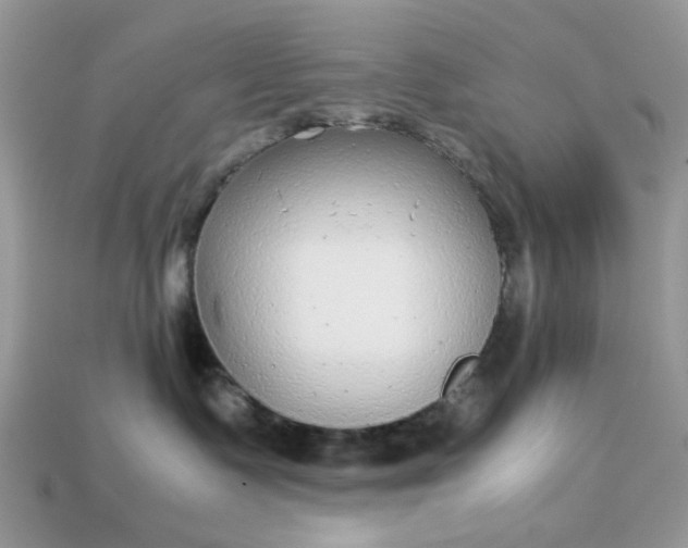X0000113040335200909101923