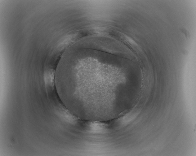 X0000113040336200909101923