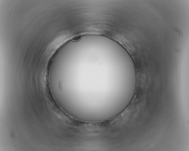 X0000113040338200909101922