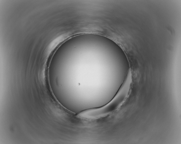 X0000113040340200909101922