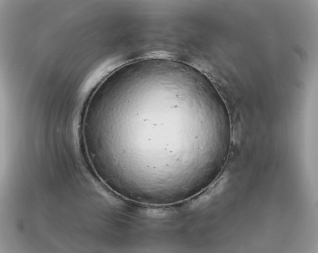X0000113040341200909101922
