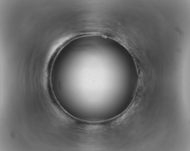 X0000113040342200909101922