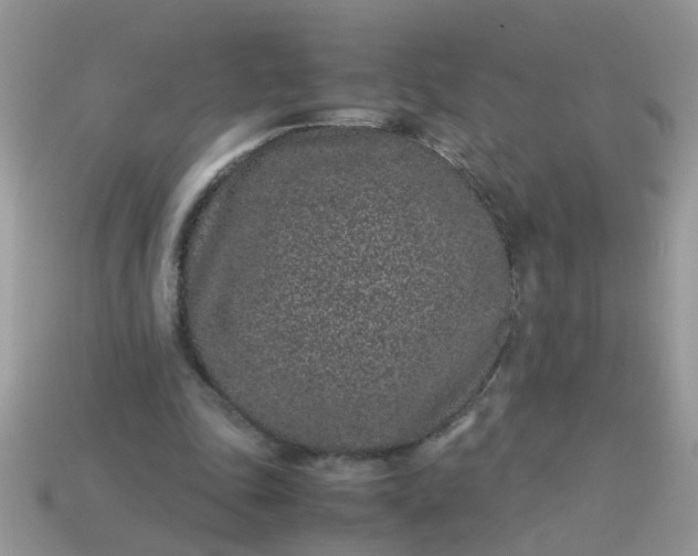 X0000113040343200909101922