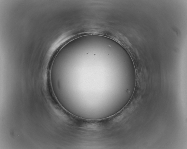 X0000113040344200909101922