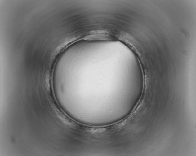X0000113040345200909101922