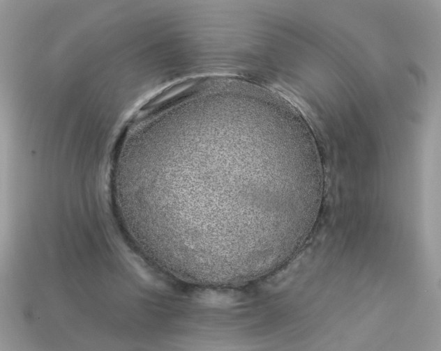 X0000113040346200909101922