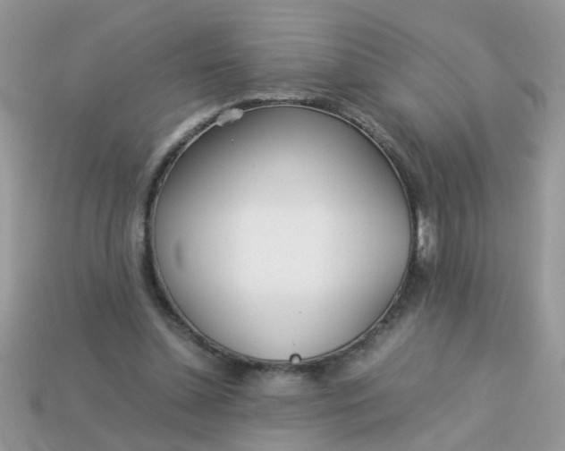 X0000113040348200909101922