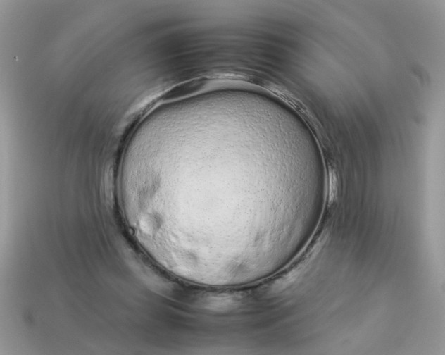 X0000113040349200909101923