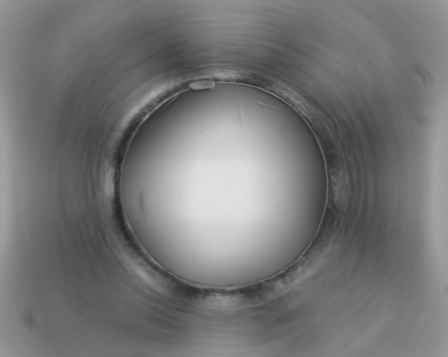 X0000113040350200909101923
