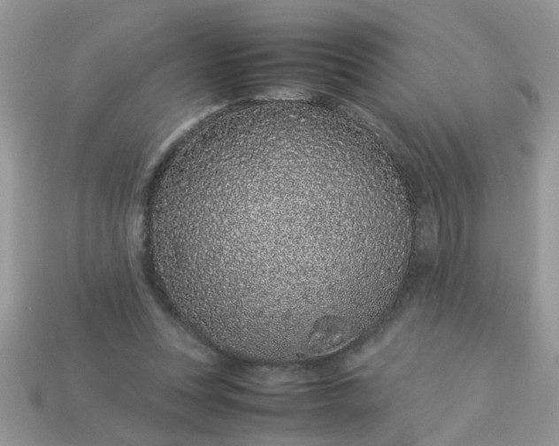 X0000113040351200909101923