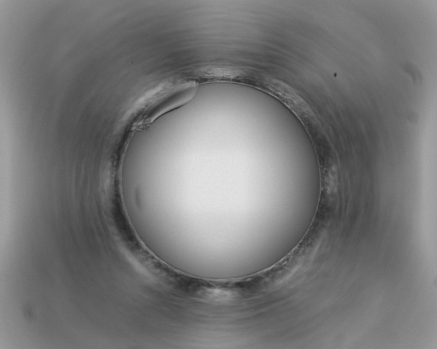 X0000113040352200909101923