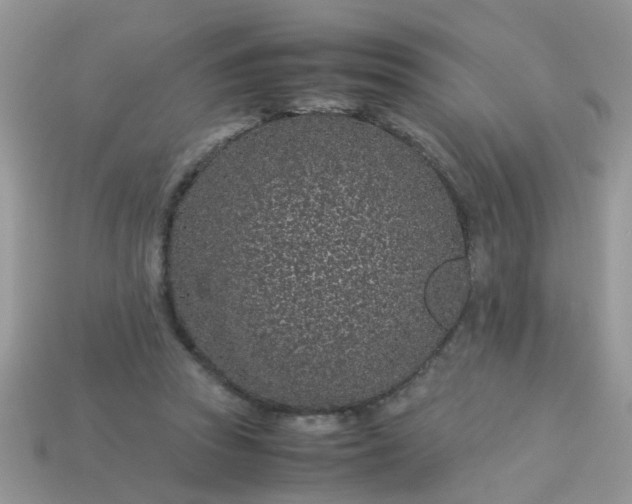 X0000113040353200909101923