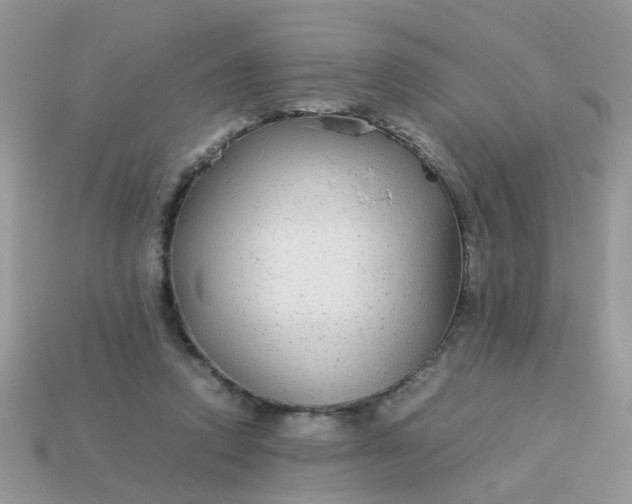 X0000113040354200909101923
