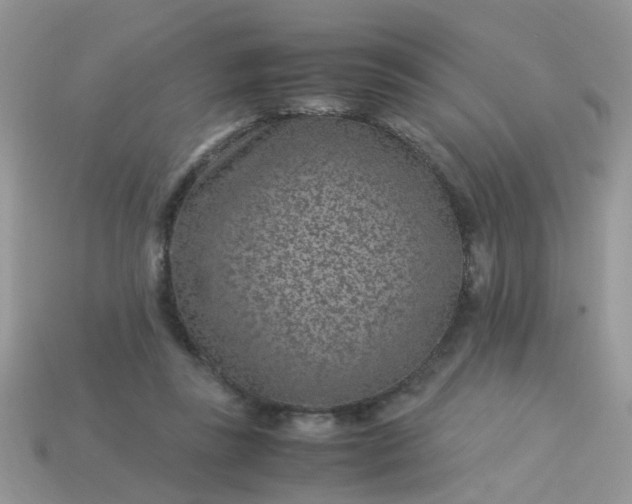 X0000113040355200909101923