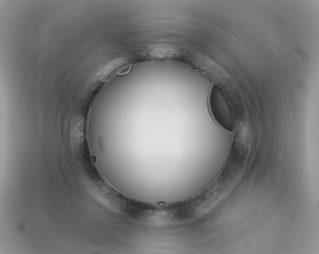 X0000113040356200909101923