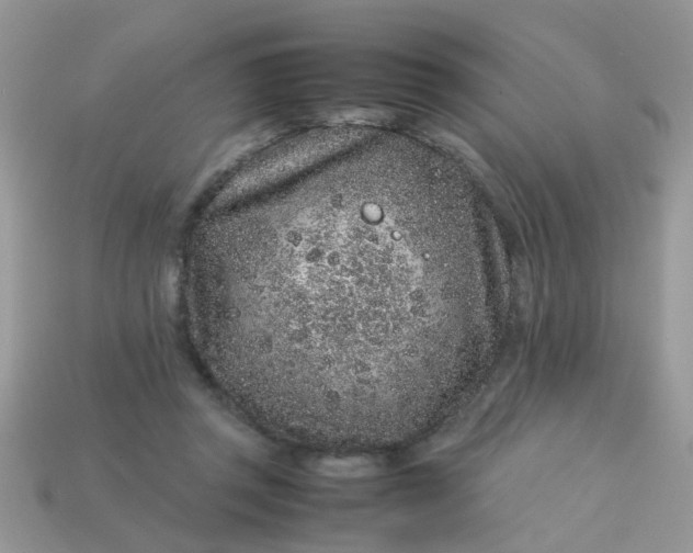 X0000113040357200909101923
