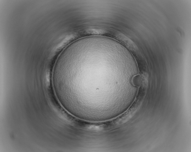 X0000113040358200909101923