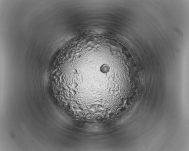 X0000113040359200909101923