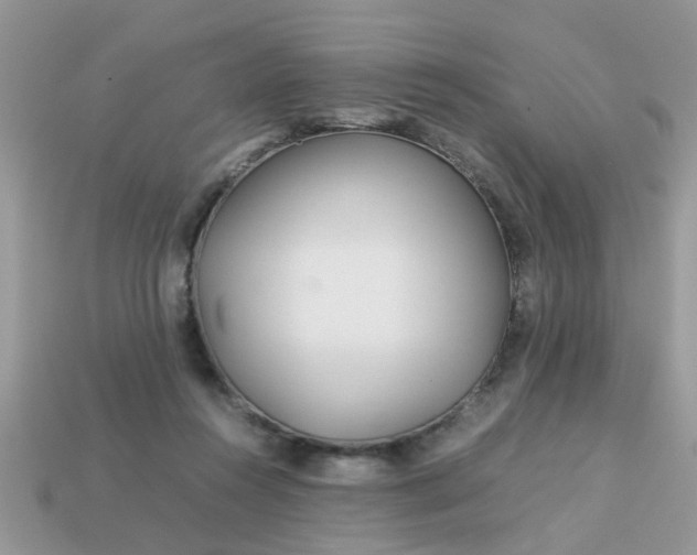 X0000113040360200909101923