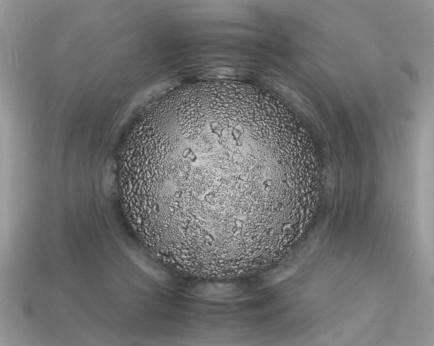 X0000113040361200909101923