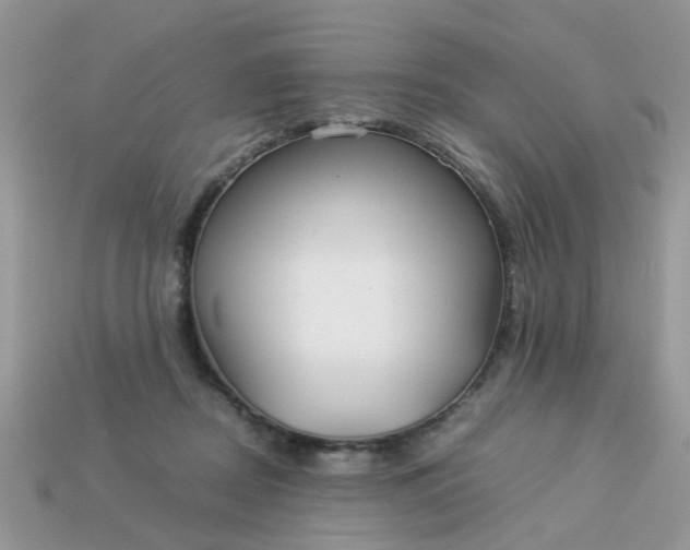 X0000113040362200909101923