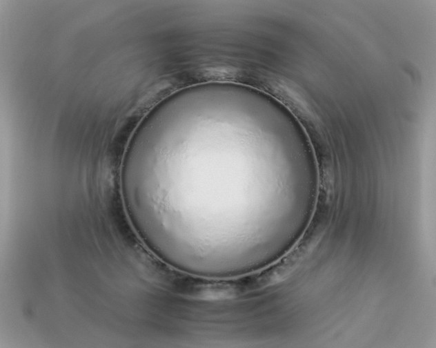 X0000113040363200909101923