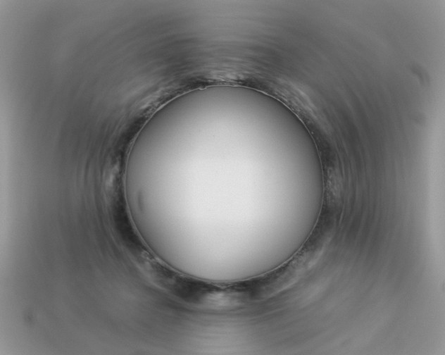 X0000113040364200909101923