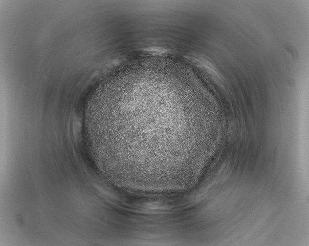 X0000113040365200909101923