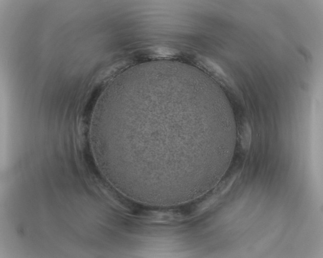 X0000113040366200909101923