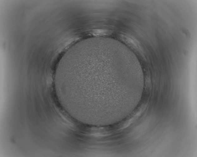 X0000113040367200909101923