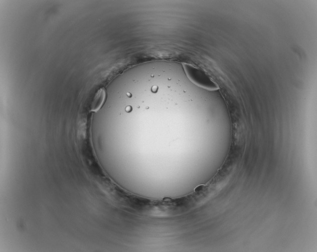 X0000113040368200909101923