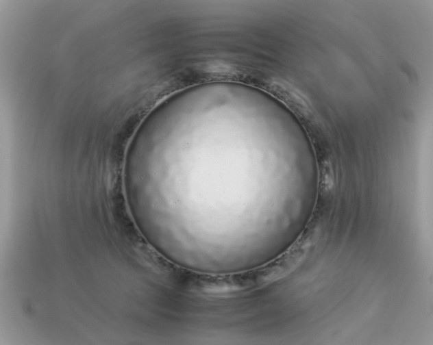 X0000113040369200909101923