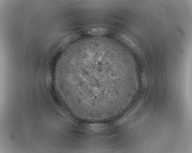 X0000113040371200909101923
