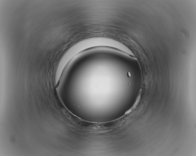 X0000113040372200909101923
