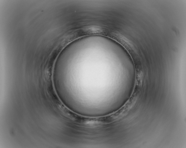 X0000113040373200909101923
