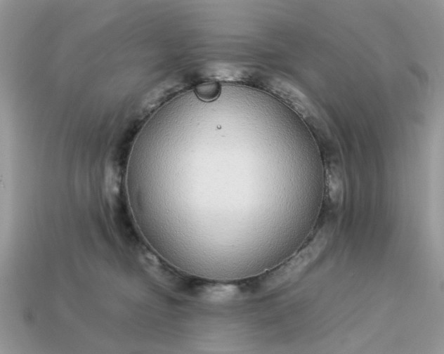 X0000113040374200909101923